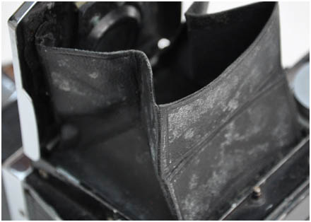 Mouldy reflex hood on AGI camera