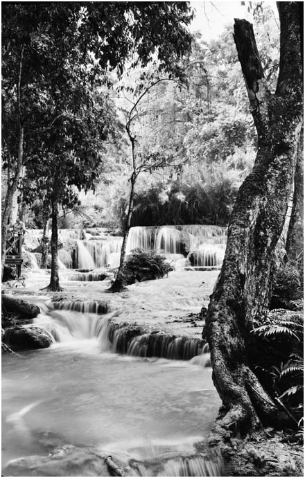 Kuang Si Waterfalls, near Luang Prabang, Laos.