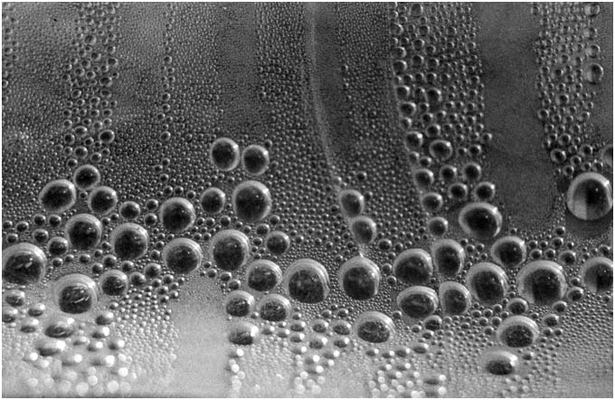 Bubbles in a bottle