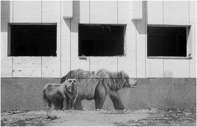 Pripyat Mural