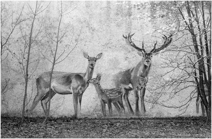Pripyat Mural