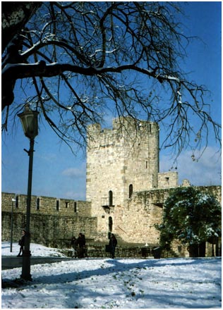 Despot's gate, Belgrade