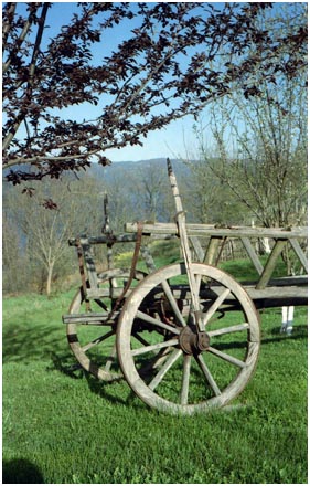 Serbia Cart