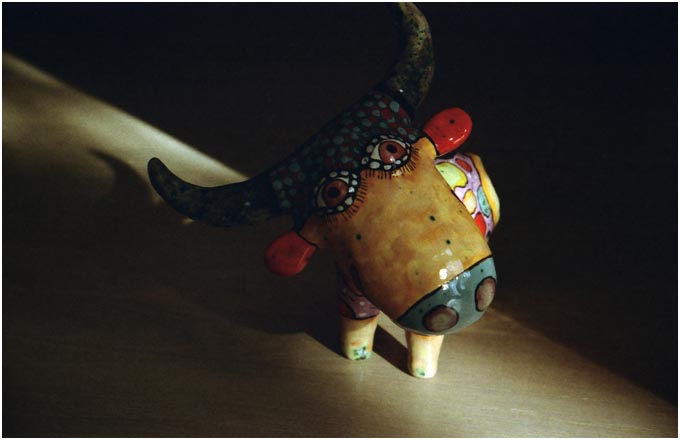 Mooo