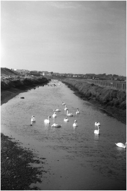 Danes Stream, Keyhaven