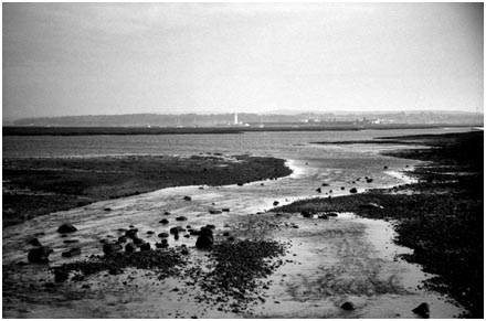 Hurst Lighthouse, across Keyahaven Marsh