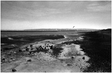 Hurst Lighthouse, across Keyahaven Marsh